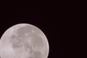 Master Fale - Sgubhu Sama Mpondo (Master Fale Afro Tech Mix) ft. Sdumza